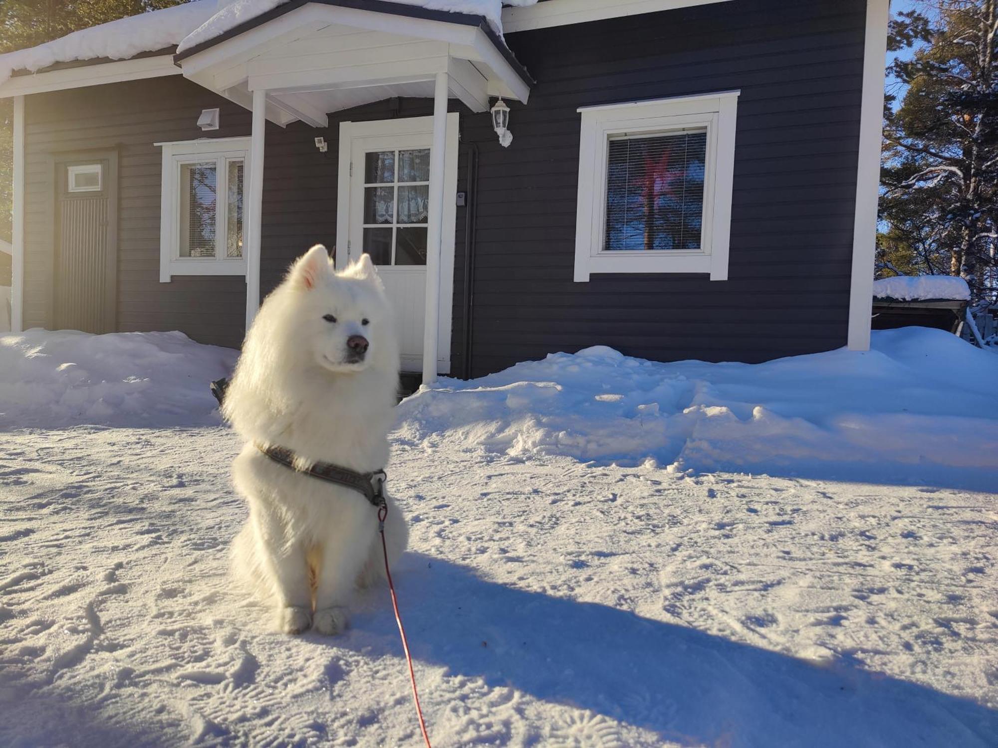 Milla Hébergement de vacances Rovaniemi